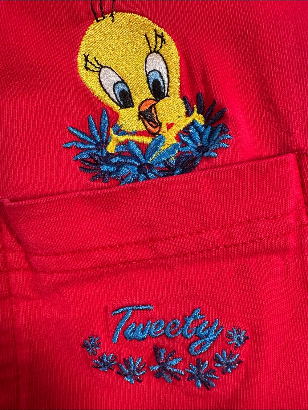Looney Tunes • Vintage 1999 Tweety Bird Embroidered Pocket Tee